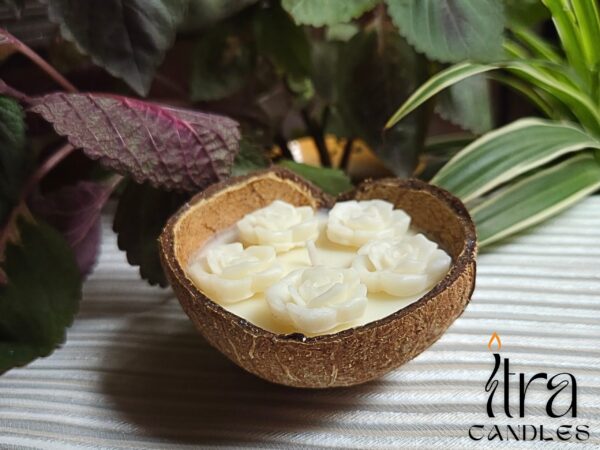 Coconut Candle - Image 2