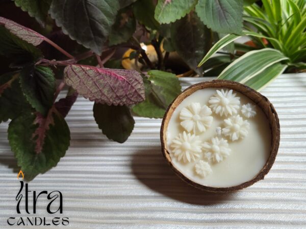 Coconut Candle