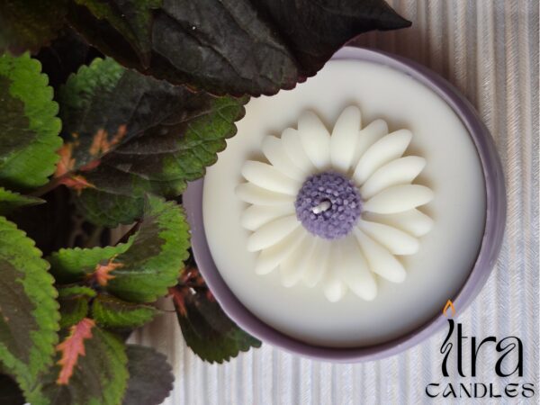 Daisy Glow Tub Candle