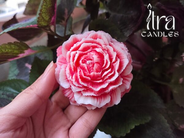 Royal Rose Candle